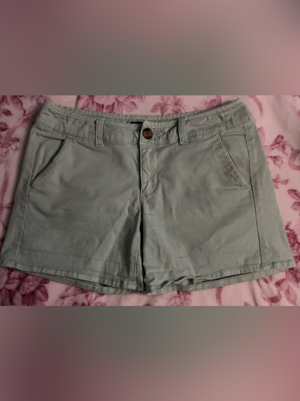 American Eagle Outfitters Light Mint Green Casual Cotton Shorts